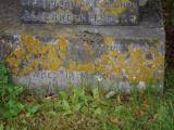 image of grave number 785380